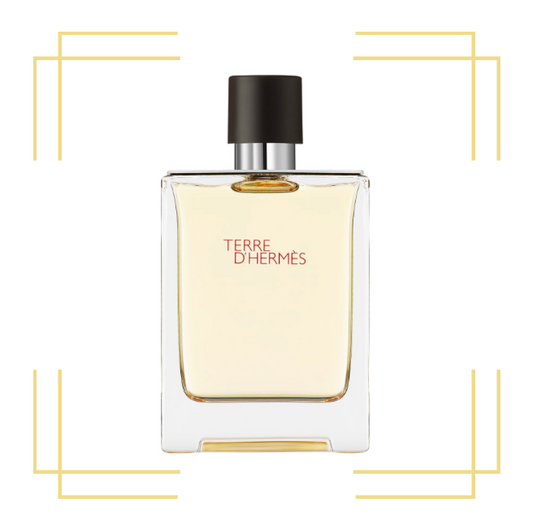 Terre De Hermes By Hermes 3.4 EDT (Tester)