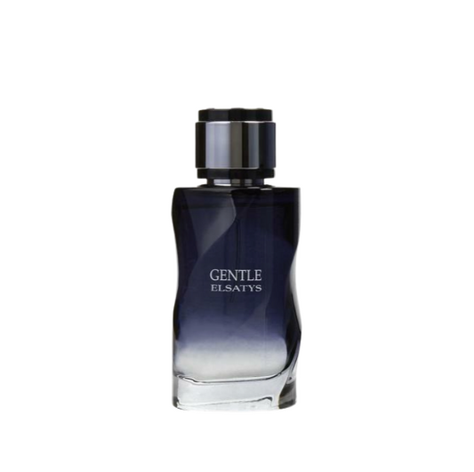 Gentle Elsatys By Reyane Tradition 3.3 EDP